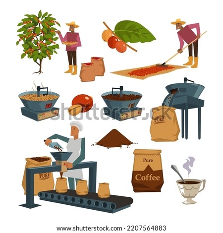 Coffee production process cartoon illustration set. Worker harvesting, drying, roasting grains in machine and packaging coffee beans. Factory, manufacture, industry concept