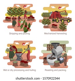 Coffee production. Process and manufacturing stages. Illustration set. Equipment, workers, tools and transport. Eco product. Set of isolated icon on white background. Flat cartoon vector 