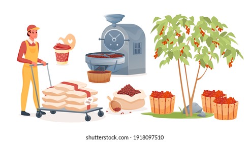 Conjunto de ilustraciones vectoriales de producción de café. Caricatura del hombre trabajando, llevando bolsas con frutas crudas antes de la elaboración del tostado, proceso de elaboración de granos de café tostados aislados en blanco