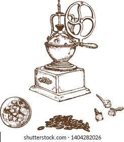 Coffee retro hand grinder with spices. loves, cardamone, ground coffee and seeds. Hand drawn Vector Illustration. Ink pen sketch for menus, cards and templates