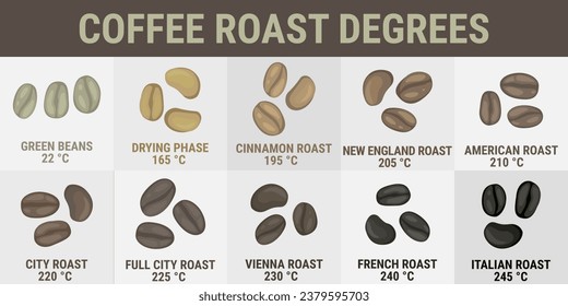 Coffee roast degrees. Vector infographics - coffee beans of different colors with roasting temperatures. Types of coffee: green, dried, cinnamon, new england, american, city, vienna, french, italian