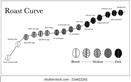 Coffee Roast Graph : Black And White