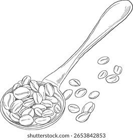 Café tostado en la ilustración del boceto de la cuchara