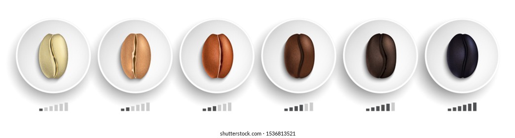 Coffee roasting guide. Realistic coffee beans in various roasting stages on white plates vector illustration
