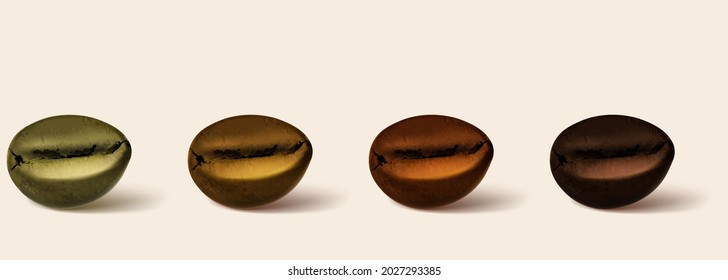 Coffee roasting isolated on a colorful background. Realistic set showing various stages of roasting.
