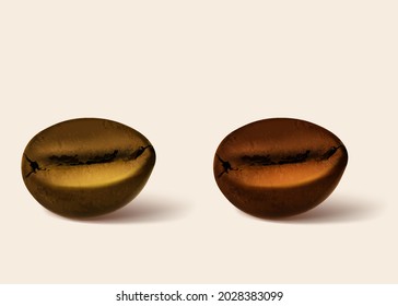 Coffee roasting isolated on a colorful background. Realistic set showing various stages of roasting.