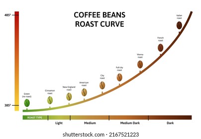 Coffee roasting levels. Roast curve, optimal temperature for roasting beans vector illustration. Roast coffee brown and dark, green and black