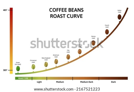 Coffee roasting levels. Roast curve, optimal temperature for roasting beans vector illustration. Roast coffee brown and dark, green and black