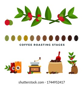 Coffee Roasting Stages Flat Style Vector Illustration.