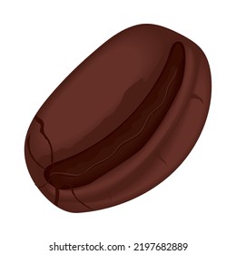 coffee seed isolated realistic icon