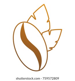 coffee seed with leafs