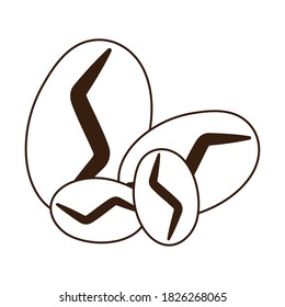 coffee seeds dry line icon style vector illustration
