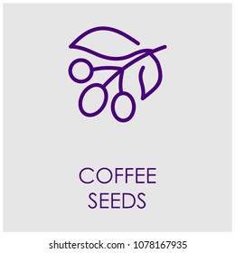 coffee seeds icon vector
