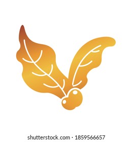 coffee seeds and leafs plant vector illustration design