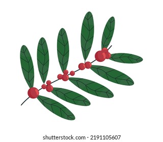 coffee seeds tree isolated icon