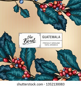 Coffee set. Hand drawn coffee branch. Vector colored engraved icon. Packaging design in retro style. Label template, brand identity, coffee shop, restaurant or cafe menu. Trendy barista branding.