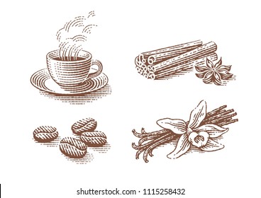 Coffee set. Vanilla, anise, cinnamon, coffee beans and cup of hot drink. Hand drawn engraving style illustrations.