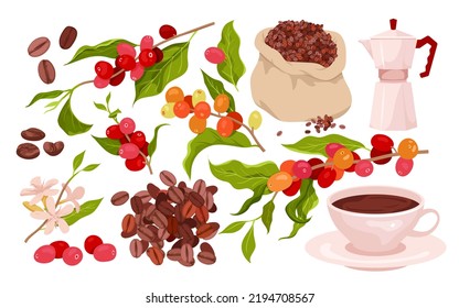 Coffee set vector illustration. Cartoon isolated red berry fruit hanging on branches of plant with green leaves and flowers on twig, bag with organic seeds, coffee maker and cup with. 3D Illustration