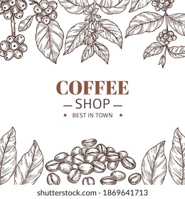 Coffee shop poster. Drawing leaves, hand drawn beans or roasted arabica grains. Cafe branding, vintage sketch plants frame vector template