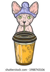 Coffee shop, Sphynx cat is drinking coffee. Sketch scratch board imitation color.