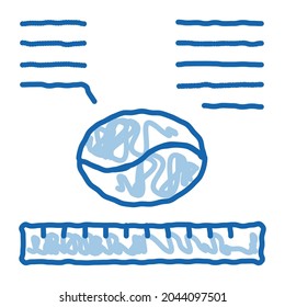 coffee size sketch icon vector. Hand drawn blue doodle line art coffee size sign. isolated symbol illustration