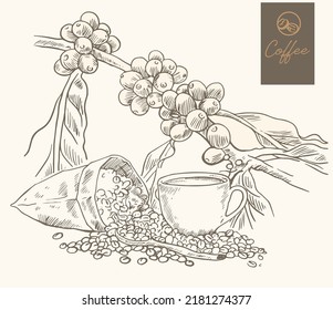 coffee sketch drawing for brand promotion and packaging label. coffee sketch for art print of poster, banner, advertising, lending page web, and promotion sale.