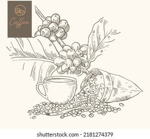 coffee sketch drawing for brand promotion and packaging label. coffee sketch for art print of poster, banner, advertising, lending page web, and promotion sale.