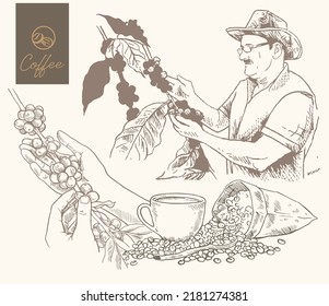 coffee sketch drawing for brand promotion and packaging label. coffee sketch for art print of poster, banner, advertising, lending page web, and promotion sale.