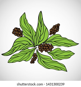 Coffee sketch hand drawing pattern vector illustration 