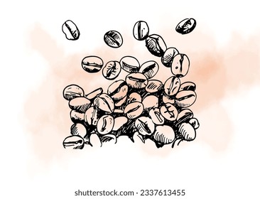 coffee of sketch ink drawing for packaging, banner, poster, menu, promotion. coffee label vintage digital promotion. coffee of ink water colour vector