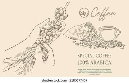 Sketch ink graphic cup of coffee with cookie illustration, draft silhouette  drawing, black on white line art. Delicious vintage etching food design.  Stock Vector | Adobe Stock