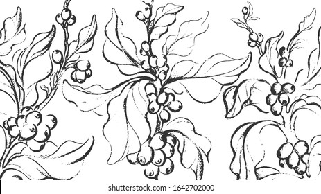 Coffee sketch. Vector nature tree, branch, leaf, bean, grain. Vintage hand drawn ink illustration on white background. Aroma energy drink. Tropical food, farm plantation
