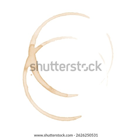 Coffee Stain on paper. Coffee or tea stains and traces - modern isolated clip art on white background. Splashes of cups, mugs and drops. Use this high quality set for your menu, bar, Cafe, EPS10
