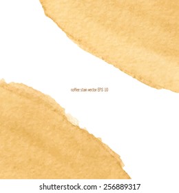 Coffee stain watercolor vector. 