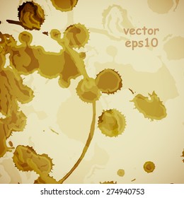 Coffee stains on the white background - Vector illustration.