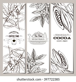 Coffee, tea, cocoa banner collection. Template for organic shop, cafe. Logo. Vector illustration