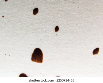 Estructura del té del café. Textura de tinte de cartón. Dirt Spatter. Pancarta de Grain Worn. Marcos sucios. Grunge de café blanco. Superficie De La Fuente Blanca. Resumen del patrón de café de la artesanía. Bebida café marrón.