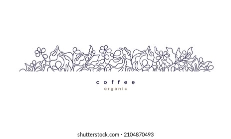 Plantilla de café. Rama vectorial, frijol de línea. Producto de Aroma, etiqueta gráfica abstracta para el envase. Busco tropical de África Occidental