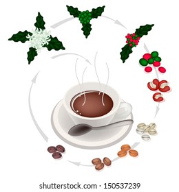 Coffee Time, A Cup of Coffee with Processing of The Roasted Coffee Bean from Coffee Flower into Hot Coffee 
