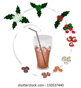 Coffee Time, A Cup of Coffee with Processing of The Roasted Coffee Bean from Coffee Flower into Iced Coffee 
