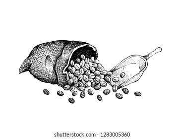 Coffee Time, Illustration Hand Drawn Sketch of Roasted Coffee Beans in A Canvas Bag Isolated on A White Background.