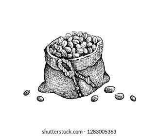 Coffee Time, Illustration Hand Drawn Sketch of Roasted Coffee Beans in A Canvas Bag Isolated on A White Background.