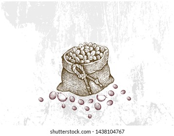 Coffee Time, Illustration Hand Drawn Sketch of Roasted Coffee Beans in A Canvas Bag.