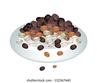 Coffee Time, An Illustration Various Colors of Roasted Coffee Beans Stack Isolated on A Beautiful White Dish 