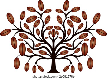 Coffee tree