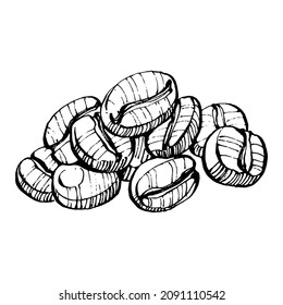 Coffee tree and beans in graphic style hand draw on white background. Isolated object with engraved style illustration. The best for design logo, menu, label, icon, stamp.