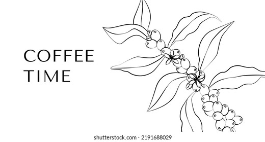 Coffee tree and beans in graphic style hand draw on white background. Vector illustration