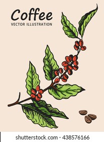 Coffee tree branch. Element for design vector illustration. Coffee plant. 