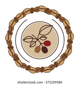 coffee tree branch with leaves with beans coffee border