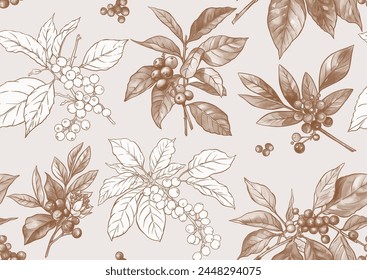 Coffee tree. Branch with leaves and berries. Seamless pattern, background. Vector illustration. In botanical style